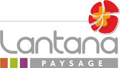 Lantana Paysage