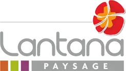 Lantana Paysage
